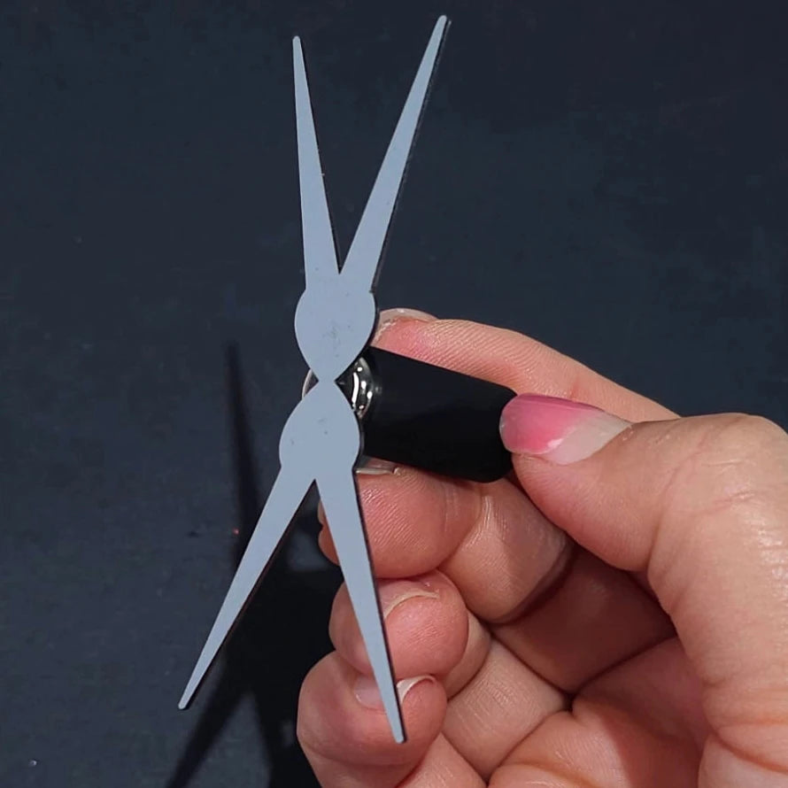 V FRENCH MAGNET